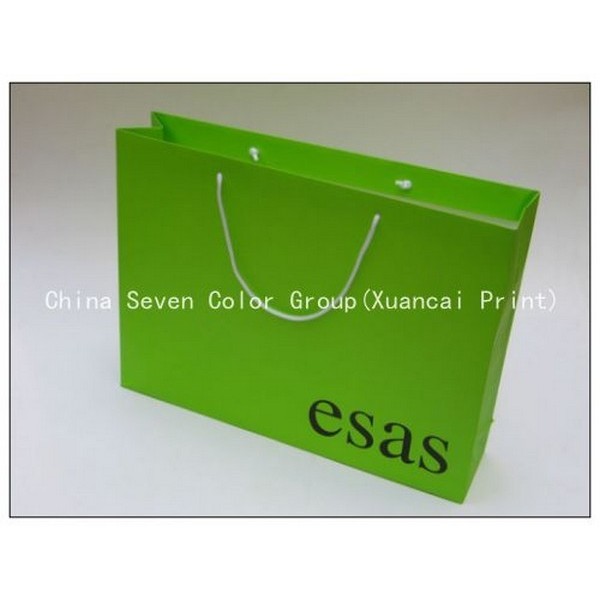 China Paper Bag Supplier 